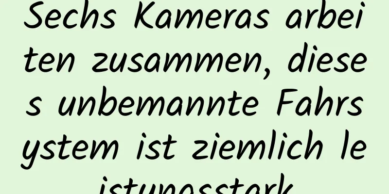 Sechs Kameras arbeiten zusammen, dieses unbemannte Fahrsystem ist ziemlich leistungsstark