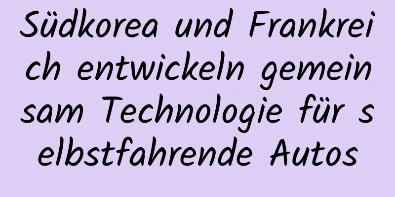 Südkorea und Frankreich entwickeln gemeinsam Technologie für selbstfahrende Autos
