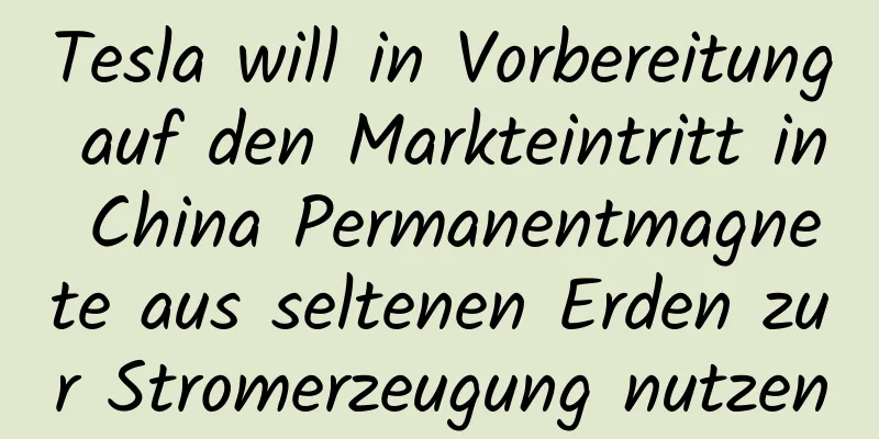 Tesla will in Vorbereitung auf den Markteintritt in China Permanentmagnete aus seltenen Erden zur Stromerzeugung nutzen
