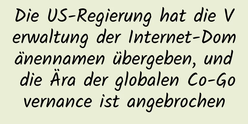 Die US-Regierung hat die Verwaltung der Internet-Domänennamen übergeben, und die Ära der globalen Co-Governance ist angebrochen