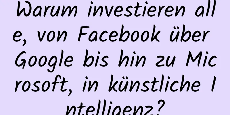 Warum investieren alle, von Facebook über Google bis hin zu Microsoft, in künstliche Intelligenz?