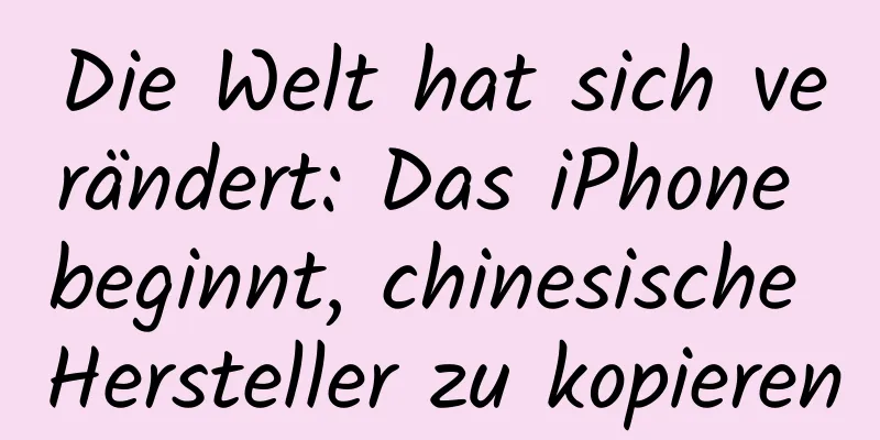 Die Welt hat sich verändert: Das iPhone beginnt, chinesische Hersteller zu kopieren
