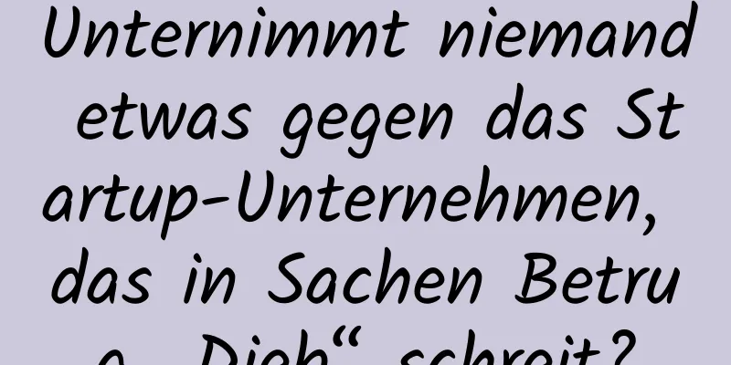 Unternimmt niemand etwas gegen das Startup-Unternehmen, das in Sachen Betrug „Dieb“ schreit?