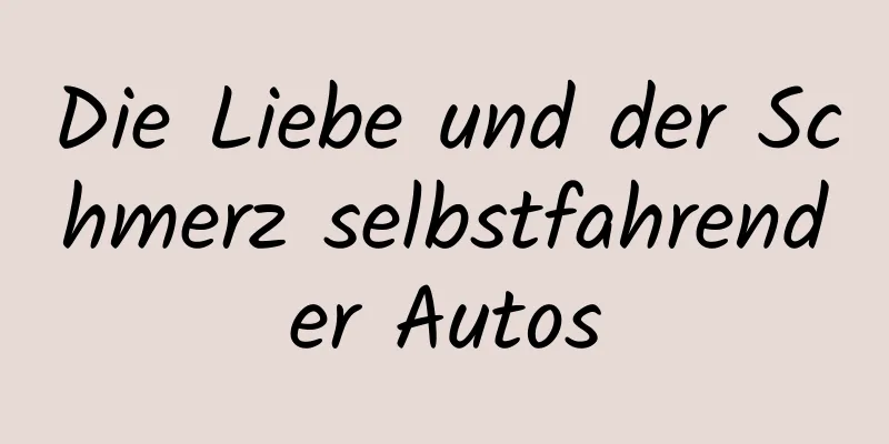 Die Liebe und der Schmerz selbstfahrender Autos