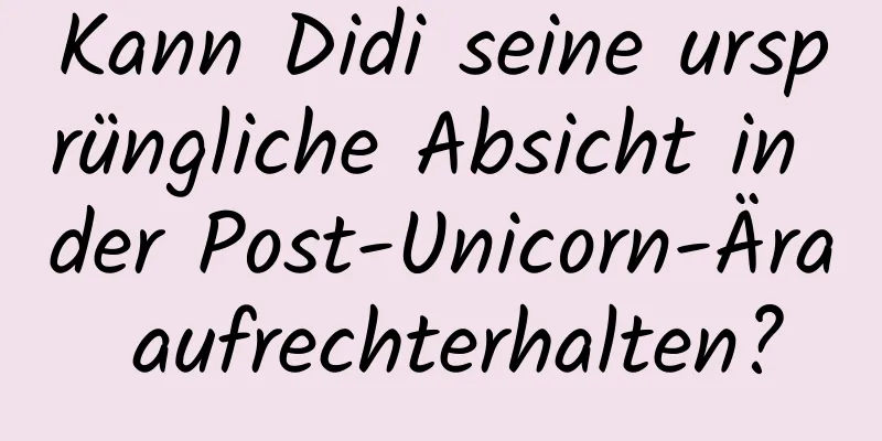 Kann Didi seine ursprüngliche Absicht in der Post-Unicorn-Ära aufrechterhalten?