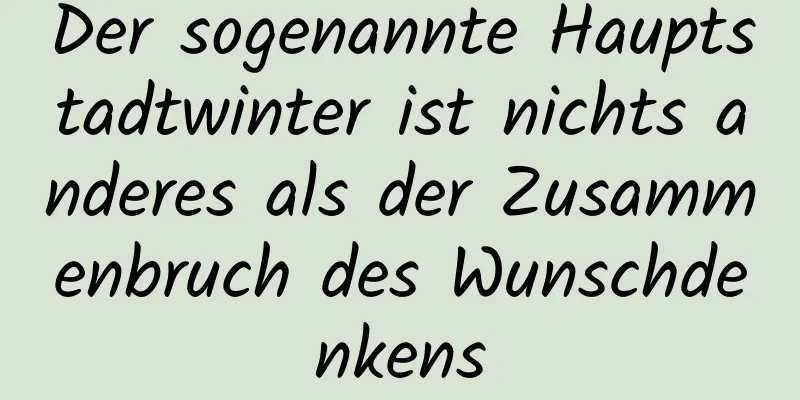 Der sogenannte Hauptstadtwinter ist nichts anderes als der Zusammenbruch des Wunschdenkens
