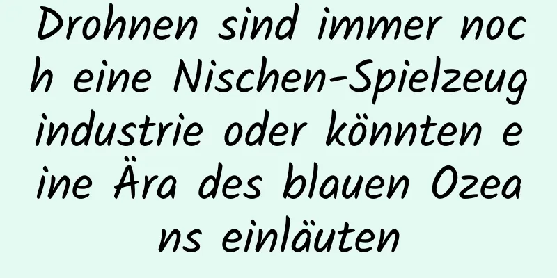 Drohnen sind immer noch eine Nischen-Spielzeugindustrie oder könnten eine Ära des blauen Ozeans einläuten