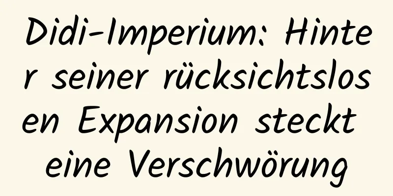 Didi-Imperium: Hinter seiner rücksichtslosen Expansion steckt eine Verschwörung