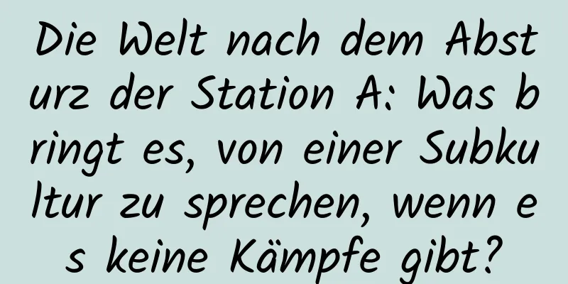 Die Welt nach dem Absturz der Station A: Was bringt es, von einer Subkultur zu sprechen, wenn es keine Kämpfe gibt?