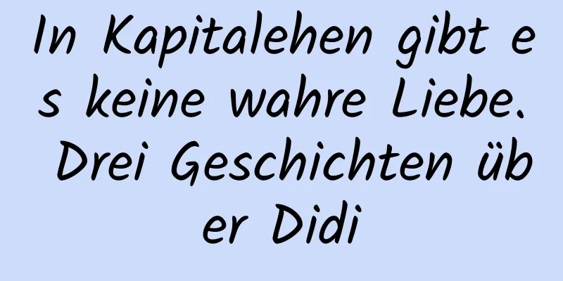 In Kapitalehen gibt es keine wahre Liebe. Drei Geschichten über Didi