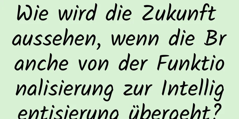 Wie wird die Zukunft aussehen, wenn die Branche von der Funktionalisierung zur Intelligentisierung übergeht?
