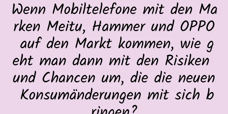 Wenn Mobiltelefone mit den Marken Meitu, Hammer und OPPO auf den Markt kommen, wie geht man dann mit den Risiken und Chancen um, die die neuen Konsumänderungen mit sich bringen?