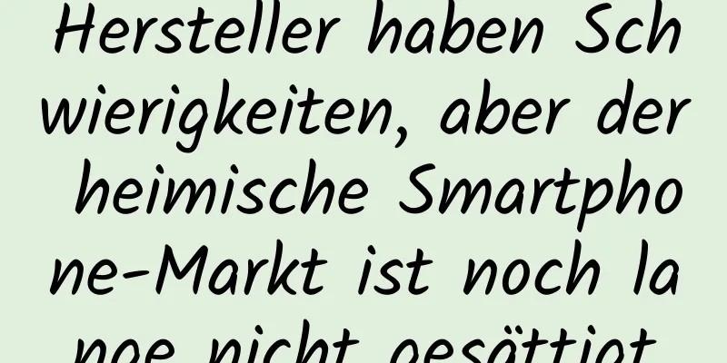 Hersteller haben Schwierigkeiten, aber der heimische Smartphone-Markt ist noch lange nicht gesättigt