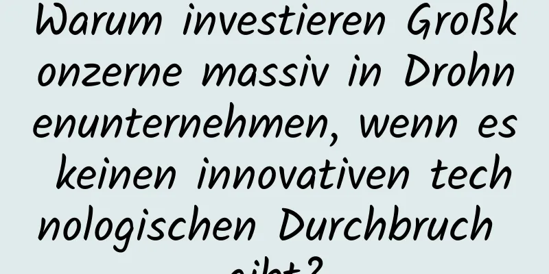 Warum investieren Großkonzerne massiv in Drohnenunternehmen, wenn es keinen innovativen technologischen Durchbruch gibt?