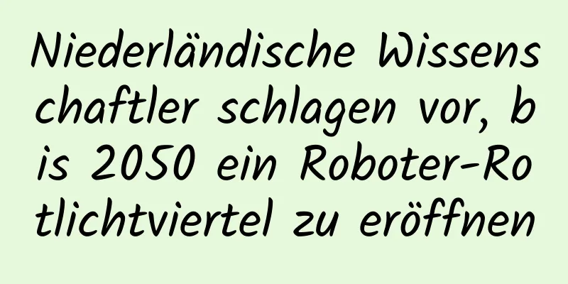 Niederländische Wissenschaftler schlagen vor, bis 2050 ein Roboter-Rotlichtviertel zu eröffnen