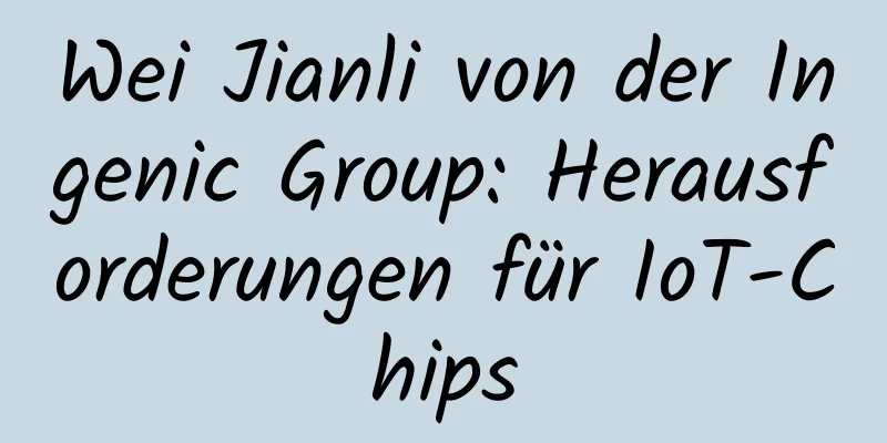 Wei Jianli von der Ingenic Group: Herausforderungen für IoT-Chips