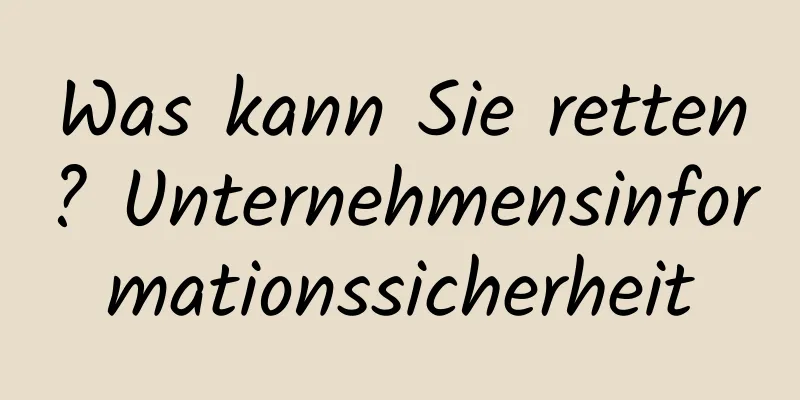 Was kann Sie retten? Unternehmensinformationssicherheit