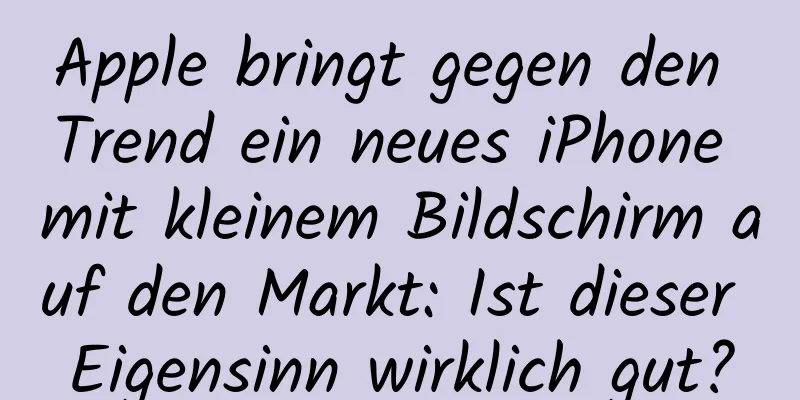 Apple bringt gegen den Trend ein neues iPhone mit kleinem Bildschirm auf den Markt: Ist dieser Eigensinn wirklich gut?
