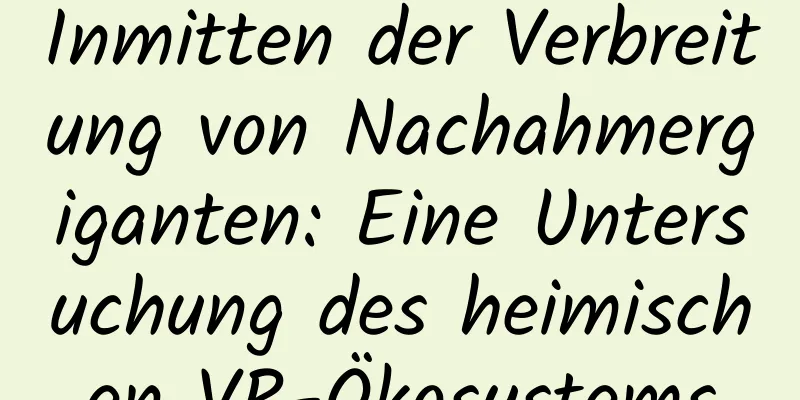 Inmitten der Verbreitung von Nachahmergiganten: Eine Untersuchung des heimischen VR-Ökosystems