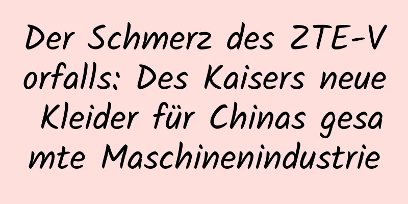 Der Schmerz des ZTE-Vorfalls: Des Kaisers neue Kleider für Chinas gesamte Maschinenindustrie