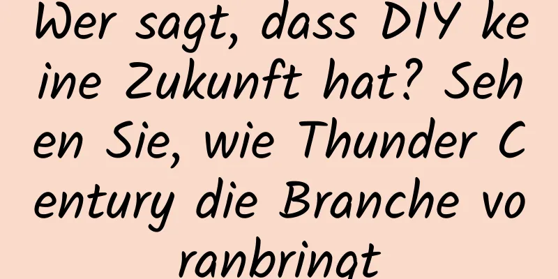Wer sagt, dass DIY keine Zukunft hat? Sehen Sie, wie Thunder Century die Branche voranbringt
