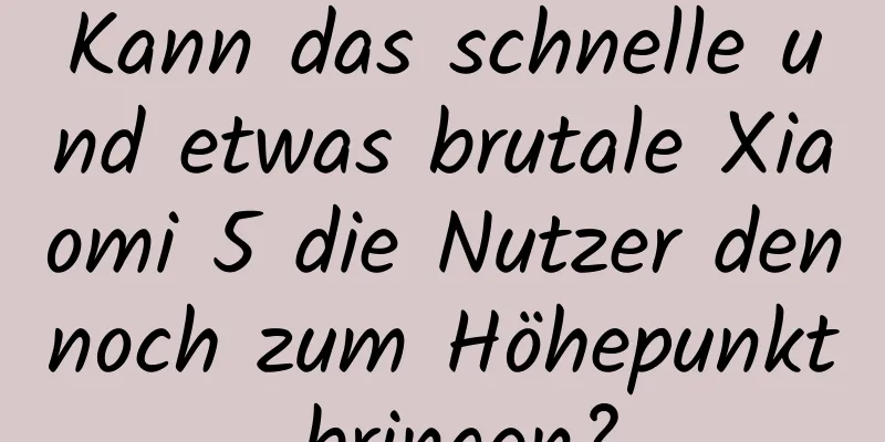 Kann das schnelle und etwas brutale Xiaomi 5 die Nutzer dennoch zum Höhepunkt bringen?