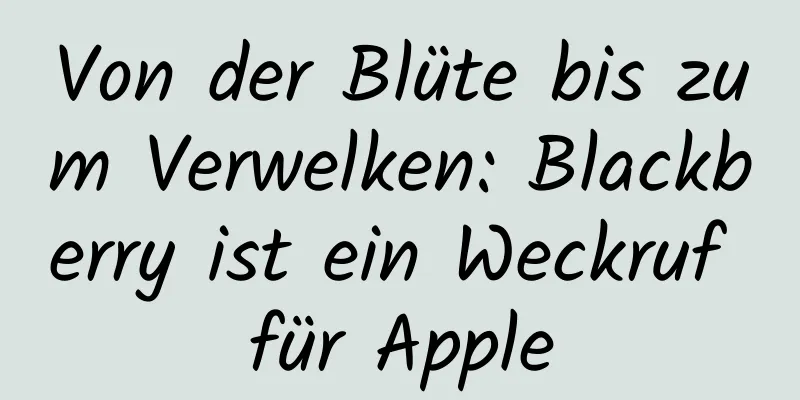 Von der Blüte bis zum Verwelken: Blackberry ist ein Weckruf für Apple