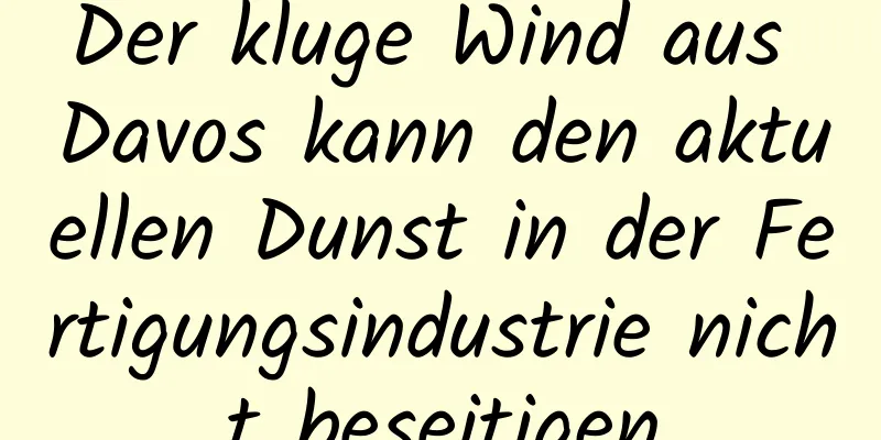 Der kluge Wind aus Davos kann den aktuellen Dunst in der Fertigungsindustrie nicht beseitigen