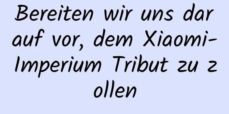 Bereiten wir uns darauf vor, dem Xiaomi-Imperium Tribut zu zollen