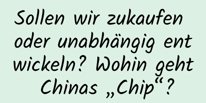 Sollen wir zukaufen oder unabhängig entwickeln? Wohin geht Chinas „Chip“?
