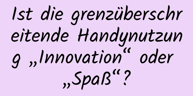 Ist die grenzüberschreitende Handynutzung „Innovation“ oder „Spaß“?