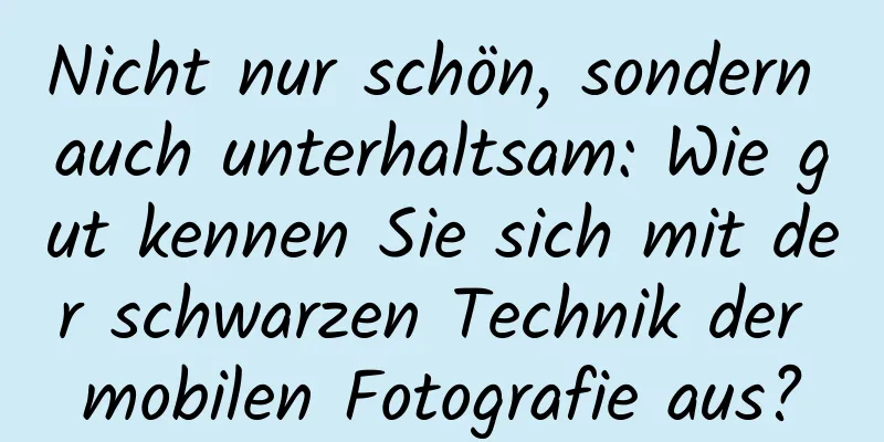 Nicht nur schön, sondern auch unterhaltsam: Wie gut kennen Sie sich mit der schwarzen Technik der mobilen Fotografie aus?