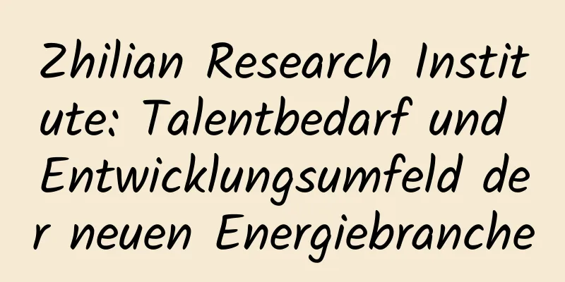 Zhilian Research Institute: Talentbedarf und Entwicklungsumfeld der neuen Energiebranche