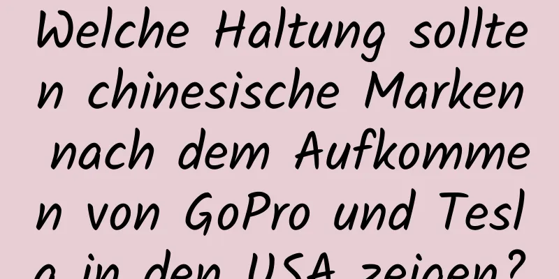 Welche Haltung sollten chinesische Marken nach dem Aufkommen von GoPro und Tesla in den USA zeigen?