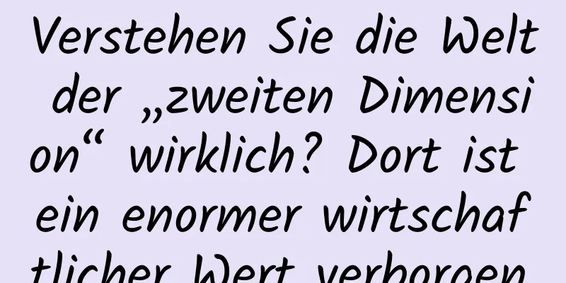Verstehen Sie die Welt der „zweiten Dimension“ wirklich? Dort ist ein enormer wirtschaftlicher Wert verborgen.