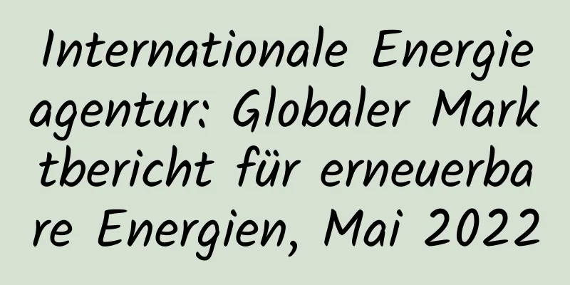 Internationale Energieagentur: Globaler Marktbericht für erneuerbare Energien, Mai 2022