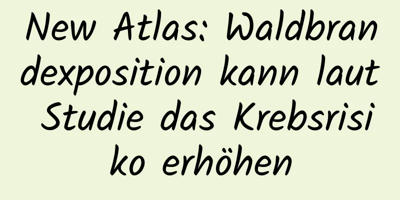 New Atlas: Waldbrandexposition kann laut Studie das Krebsrisiko erhöhen