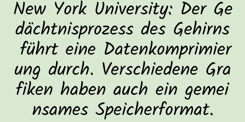 New York University: Der Gedächtnisprozess des Gehirns führt eine Datenkomprimierung durch. Verschiedene Grafiken haben auch ein gemeinsames Speicherformat.