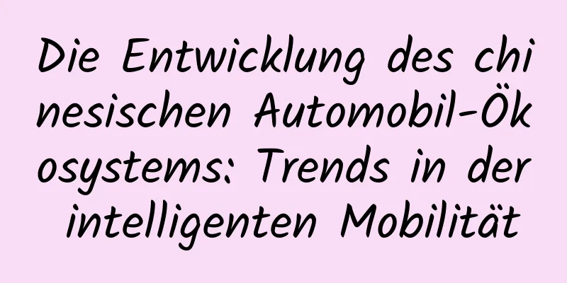 Die Entwicklung des chinesischen Automobil-Ökosystems: Trends in der intelligenten Mobilität