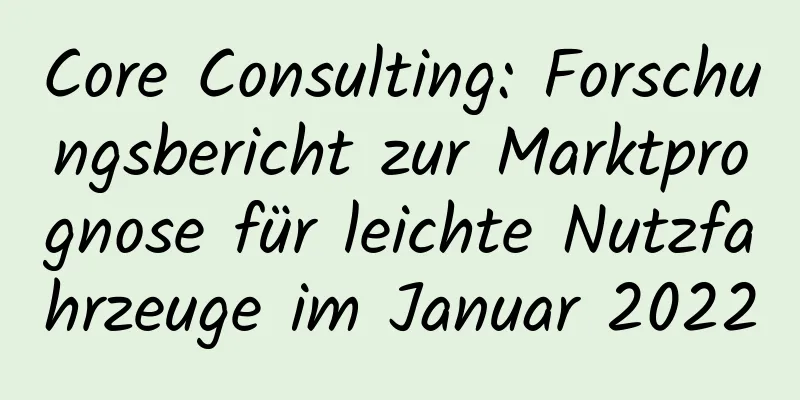 Core Consulting: Forschungsbericht zur Marktprognose für leichte Nutzfahrzeuge im Januar 2022