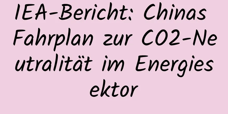 IEA-Bericht: Chinas Fahrplan zur CO2-Neutralität im Energiesektor