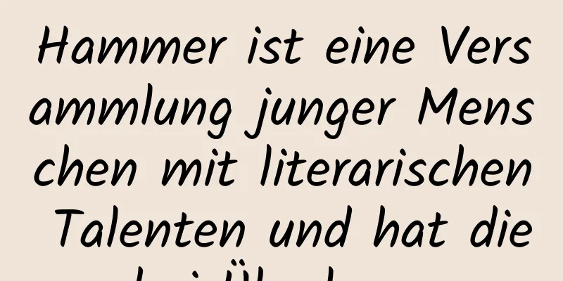 Hammer ist eine Versammlung junger Menschen mit literarischen Talenten und hat diese drei Überlegungen