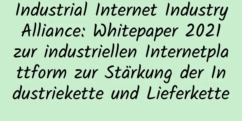 Industrial Internet Industry Alliance: Whitepaper 2021 zur industriellen Internetplattform zur Stärkung der Industriekette und Lieferkette