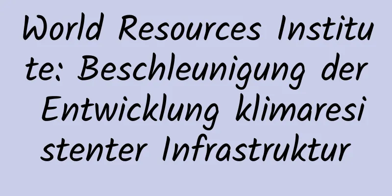 World Resources Institute: Beschleunigung der Entwicklung klimaresistenter Infrastruktur