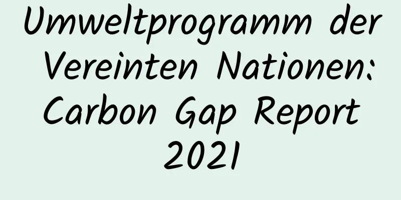 Umweltprogramm der Vereinten Nationen: Carbon Gap Report 2021