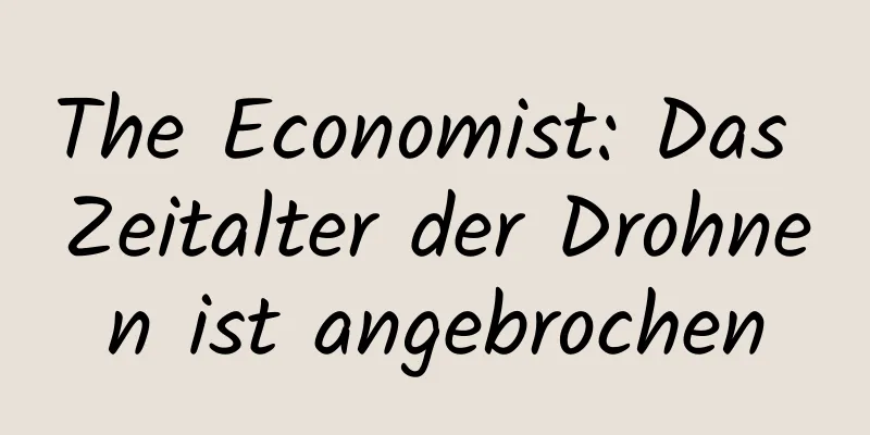 The Economist: Das Zeitalter der Drohnen ist angebrochen