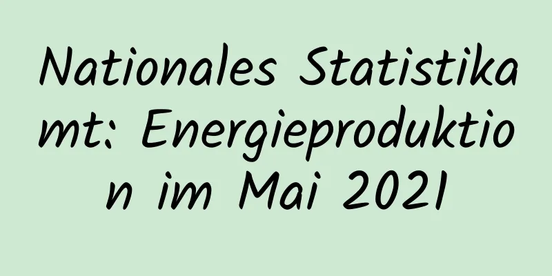 Nationales Statistikamt: Energieproduktion im Mai 2021