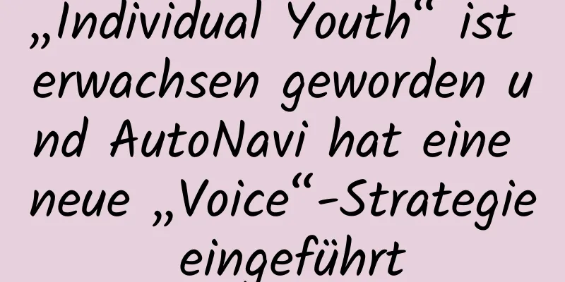 „Individual Youth“ ist erwachsen geworden und AutoNavi hat eine neue „Voice“-Strategie eingeführt