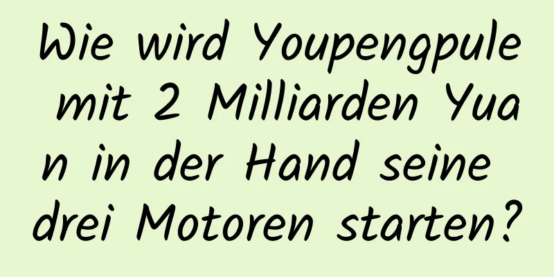 Wie wird Youpengpule mit 2 Milliarden Yuan in der Hand seine drei Motoren starten?