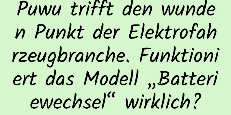 Puwu trifft den wunden Punkt der Elektrofahrzeugbranche. Funktioniert das Modell „Batteriewechsel“ wirklich?